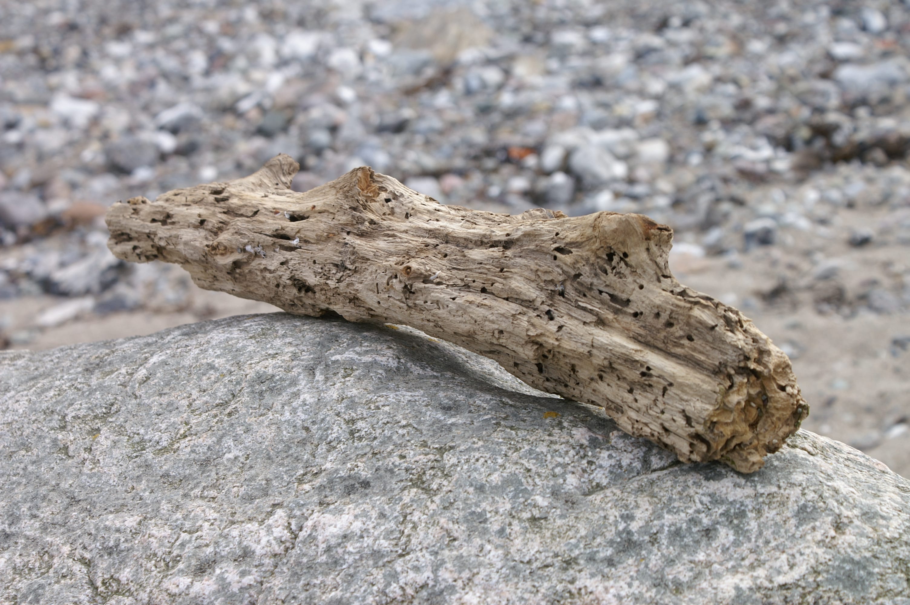 Salzoase Ostsee Salzgrottenbau